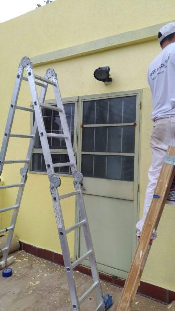 colocación de pintura - Pintor Profesional Pinto a Color