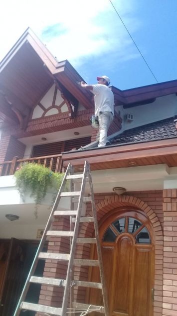 colocación de pintura - Pintor Profesional Pinto a Color